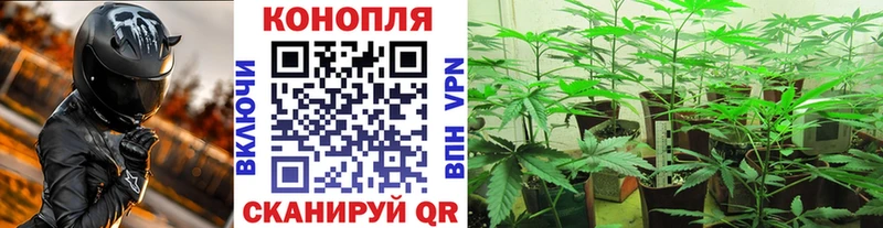 как найти   мега как зайти  Канабис марихуана  Зубцов 